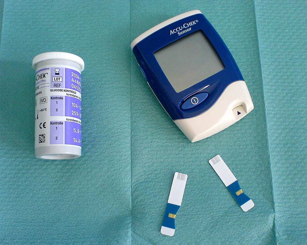 自己血糖測定システム