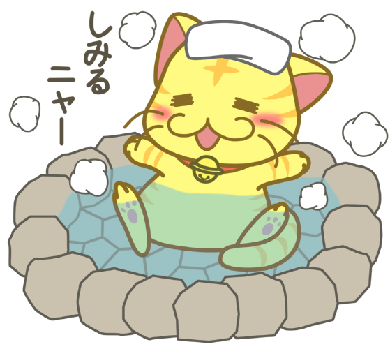 入浴する猫